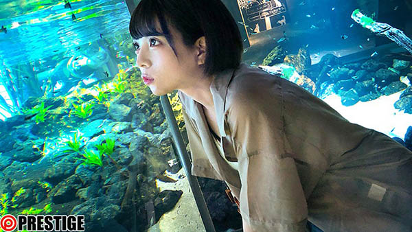 如月瀬奈(如月せな)出道作品番号及封面,如月せな个人简介-4 如月瀬奈(如月せな)出道作品番号及封面,如月せな个人简介